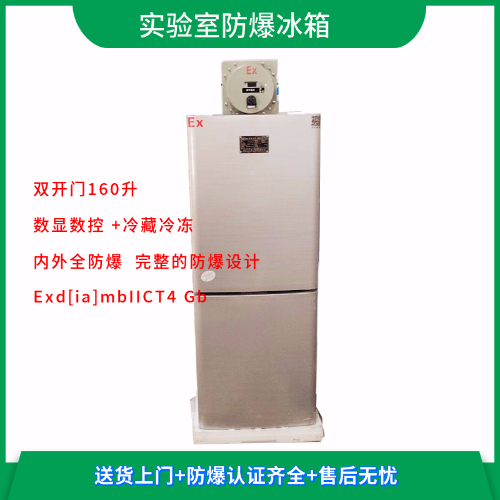 BL-LS160CDʵ����˫�·�������