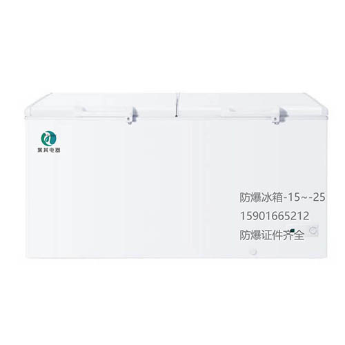 BL-WS630D��ʽ�����ŷ�������